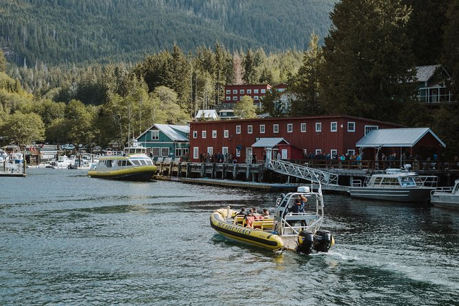 Vancouver Island Zodiac Whale Watching Adventure - Telegraph Cove - Key points to know before booking