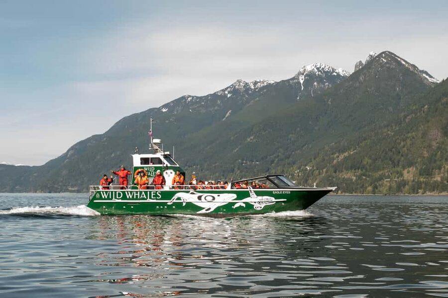 Vancouver: Open-air Whale Watching Tour, Granville Island - Why Eagle Eyes changes the experience
