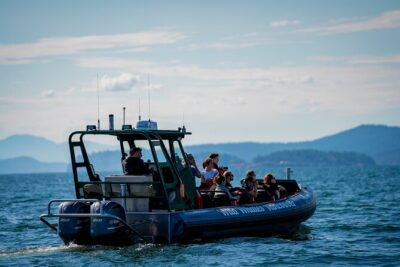 Vancouver’s Intimate West Coast Whale Watching Experience