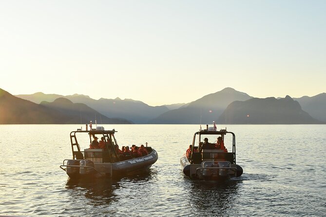 Vancouver's Intimate West Coast Whale Watching Experience - Why Granville Island improves the day