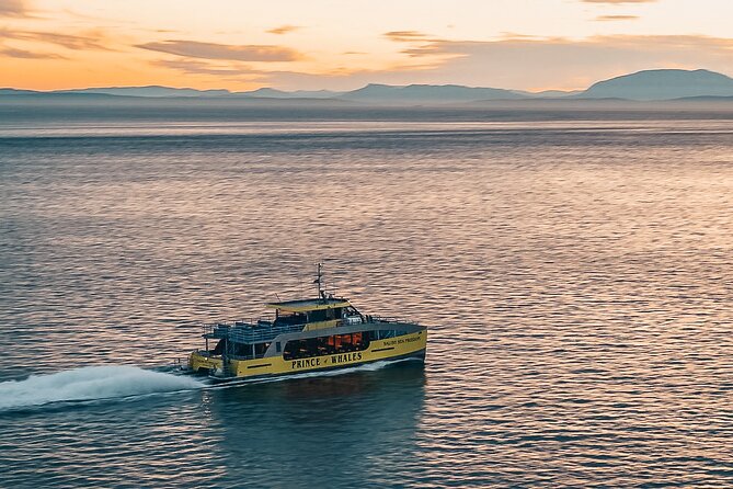 Vancouver Sunset Whale Watching Adventure with Free Photos - Orcas, humpbacks, and the open Salish Sea
