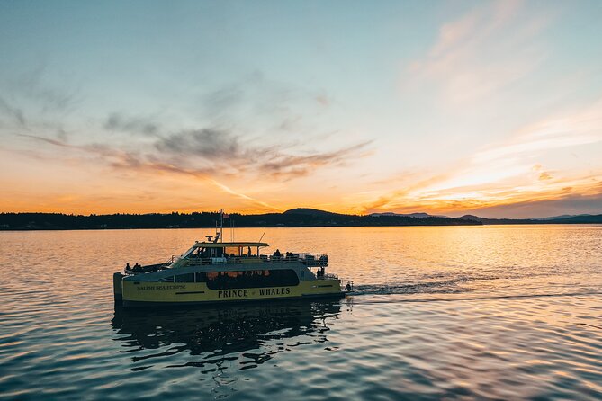 Vancouver Sunset Whale Watching Adventure with Free Photos - What the crew adds to the experience