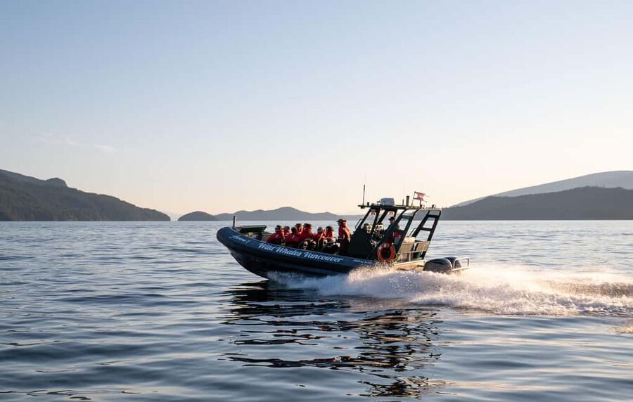 Vancouver: Zodiac Whale Watching Tour from Granville Island - Why the Zodiac changes the whale watching experience