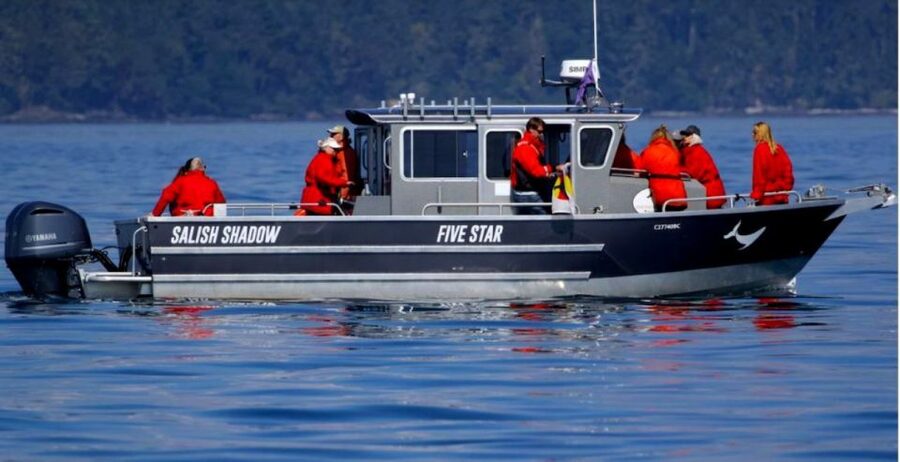 Victoria, BC: 3-Hour Ultimate Whale & Marine Wildlife Tour - Why the Small Group Matters