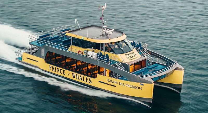 Victoria: Covered Whale Watching Adventure with Free Photos - Should you book the Victoria whale watching adventure?