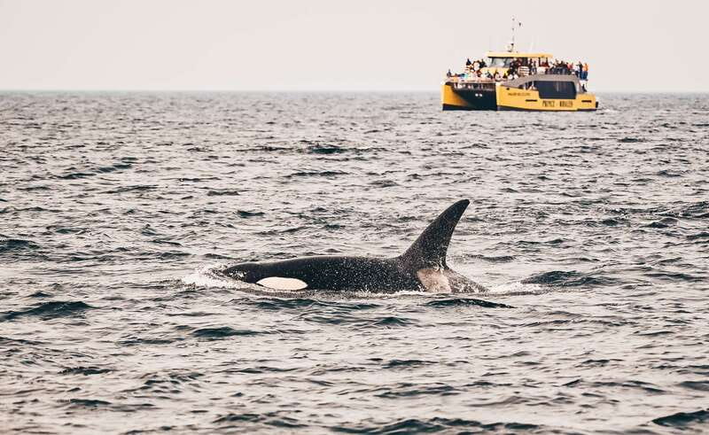 Victoria: Covered Whale Watching Adventure with Free Photos - Crossing Haro Strait and the Strait of Juan de Fuca