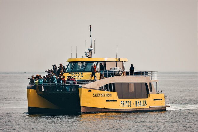 Victoria Half-Day Whale Watching Adventure with Free Photos - Who will enjoy this tour most