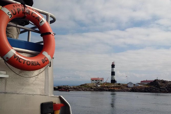 Victoria Shore Excursion: Whale-Watching Cruise with Expert Naturalist Guides - Is $133.71 a fair price?