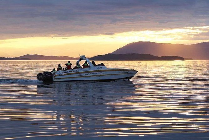Victoria Sunset Whale-Watching Cruise - What the naturalist adds to the ride
