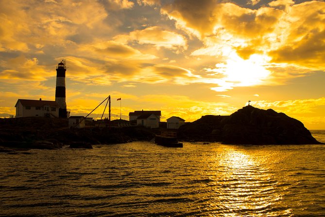 Victoria Sunset Whale-Watching Cruise - Timing, booking, and cancellation details