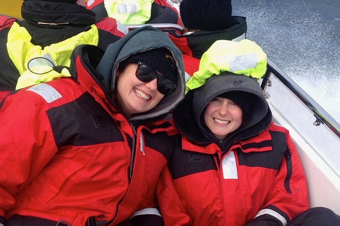 Victoria Sunset Whale-Watching Cruise - Searching for orcas, humpbacks, and smaller wildlife