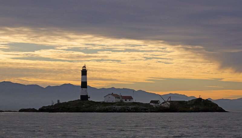 Victoria: Sunset Whale Watching Tour on an Open Scarab Boat - Key points at a glance