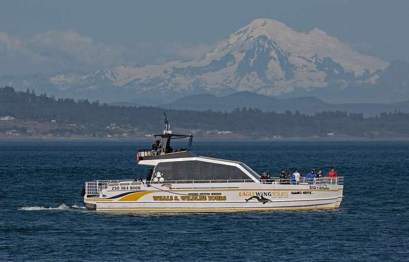Victoria: Sunset Whale Watching Tour on Semi-Covered Boat - Searching the Salish Sea for whales