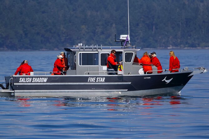 Victoria Ultimate Marine Whale & Wildlife Tour - The guides make the difference
