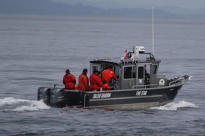 Victoria Ultimate Marine Whale & Wildlife Tour - Is $134.02 a fair price?