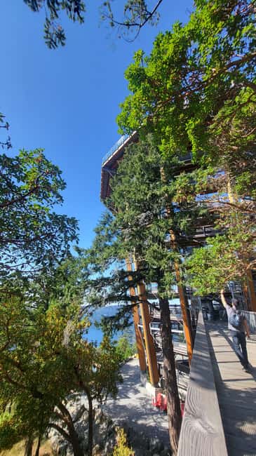 Victoria Waterfall, Skywalk, Beach Picnic, Castle and Whales - Key points to know before booking