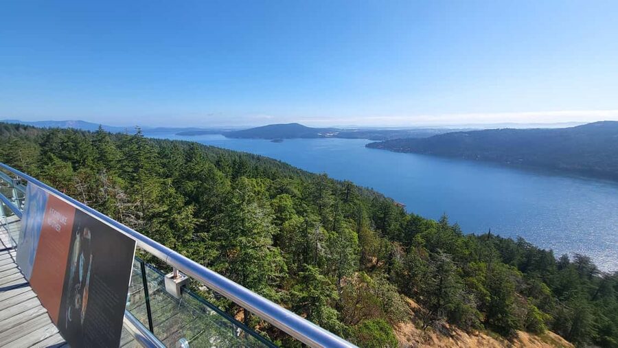 Victoria Waterfall, Skywalk, Beach Picnic, Castle and Whales - Who should book this Victoria outing?