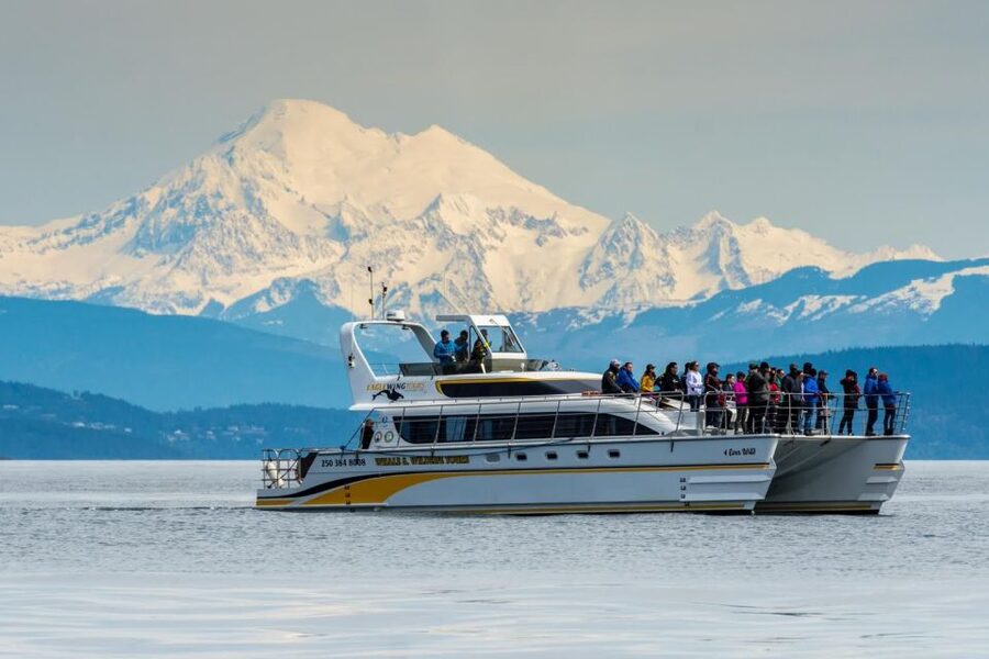 Victoria: Whale and Wildlife Semi-Covered Boating Tour - What you may see at the wildlife stops