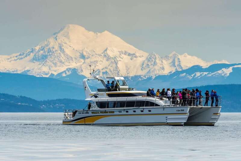 Victoria: Whale and Wildlife Semi-Covered Boating Tour - The guides shape the experience