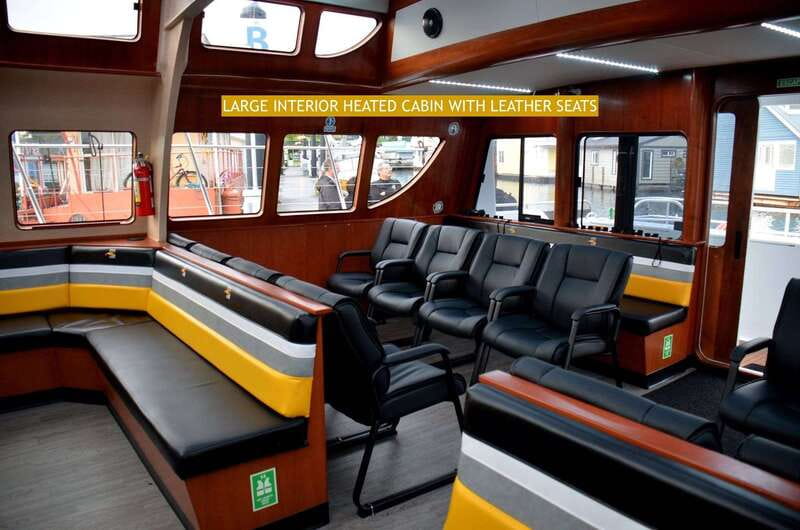 Victoria: Whale and Wildlife Semi-Covered Boating Tour - Is $136 a fair price?