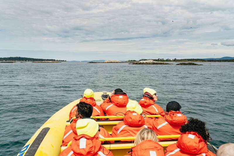 Victoria: Whale Watching Adventure in a Zodiac Boat - Key points at a glance