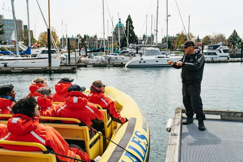 Victoria: Whale Watching Adventure in a Zodiac Boat - Searching the Salish Sea for whales