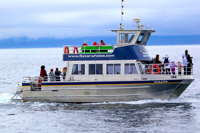 Victoria Whale Watching Cruise with Expert Naturalists - Five things to know before you book