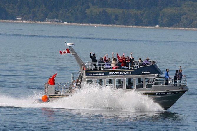 Victoria Whale Watching Cruise with Expert Naturalists - Searching the Salish Sea from Victoria
