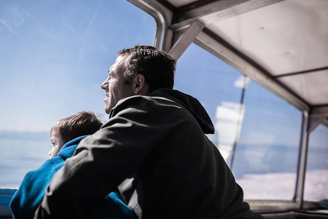 Victoria Whale Watching Tour on a Covered Vessel - What the three-hour boat ride is really like
