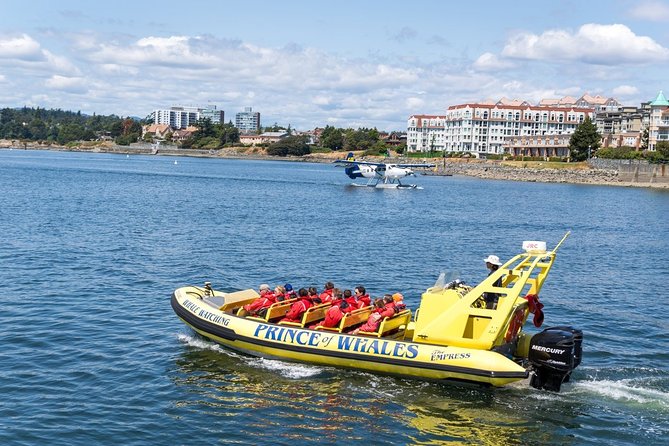 Victoria Zodiac Boat Whale Watching Adventure - Practical details for a smooth departure