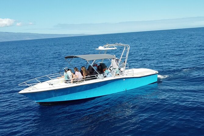 VIP Premiere Whale Watch Kaanapali Beach MAX 12 PASSENGERS - What the two-hour route is really like