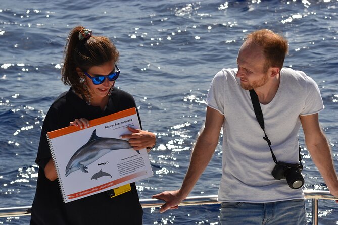 VipDolphins Luxury Whale Watching - A small catamaran rather than a crowded boat