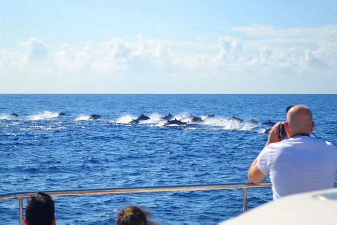 VipDolphins Luxury Whale Watching - Drinks, snacks, and the VIP touch