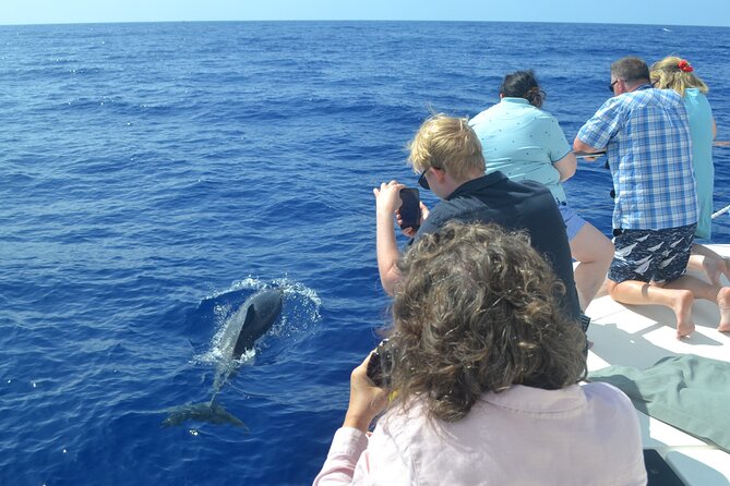 VipDolphins Luxury Whale Watching - Cabo Girao brings a second highlight