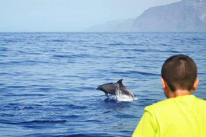 VipDolphins Luxury Whale Watching - The sea can be rougher than expected