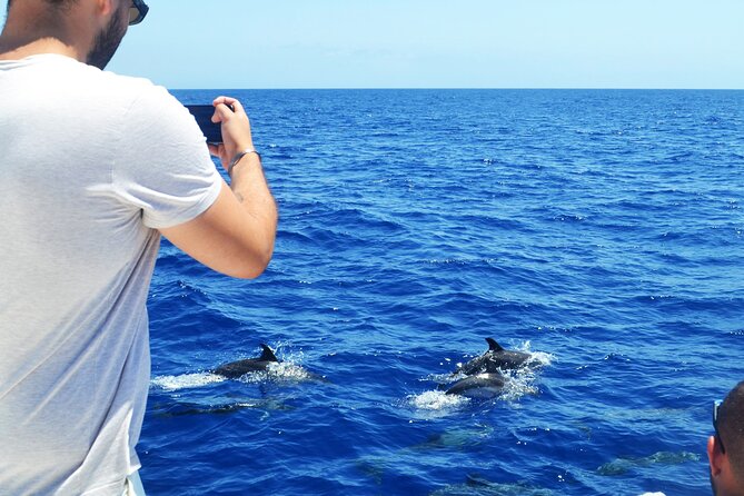VipDolphins Luxury Whale Watching - Who will enjoy this most?
