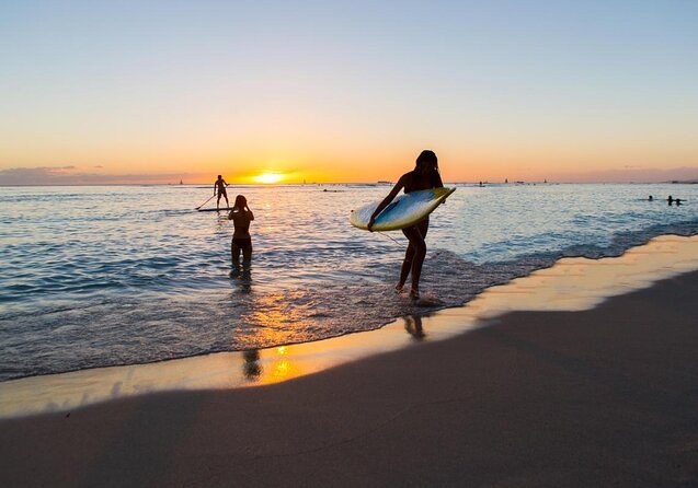Waikiki Deluxe Catamaran Whale Watch - Key points before you book