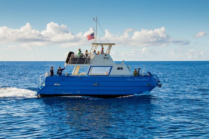 Waikiki Deluxe Catamaran Whale Watch - Who will enjoy this outing most