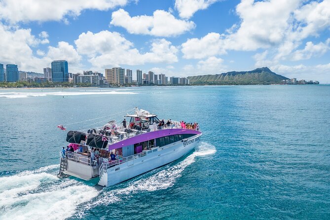 Waikiki, Oahu 2-Hour Whale Watching: Guaranteed Sightings - A two-hour search for humpbacks