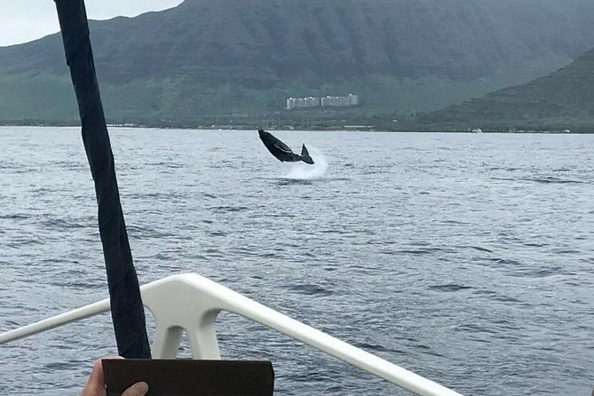 Waikoloa Deluxe Whale Watch - The Kona-Kohala coast from the water