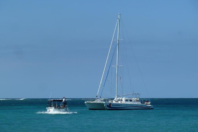 Wake Up With the Whales Cruise on Seasmoke - Choosing the season and setting expectations