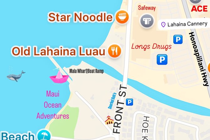 West Maui Sunset Whale Watch - Value, timing, and practical planning
