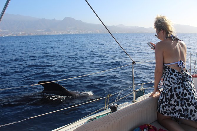 Whale and Dolphin Small Group Sailing from Tenerife South - A Quiet Bay for Swimming and Snorkeling