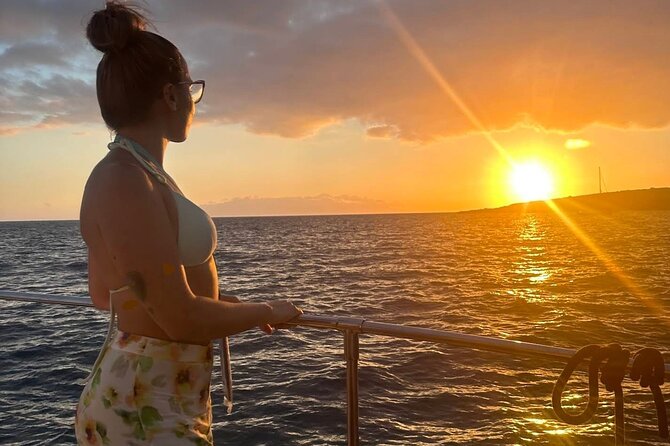 Whale and Dolphin Watching Catamaran with Transfer and Buffet - Swimming and snorkeling near the south coast