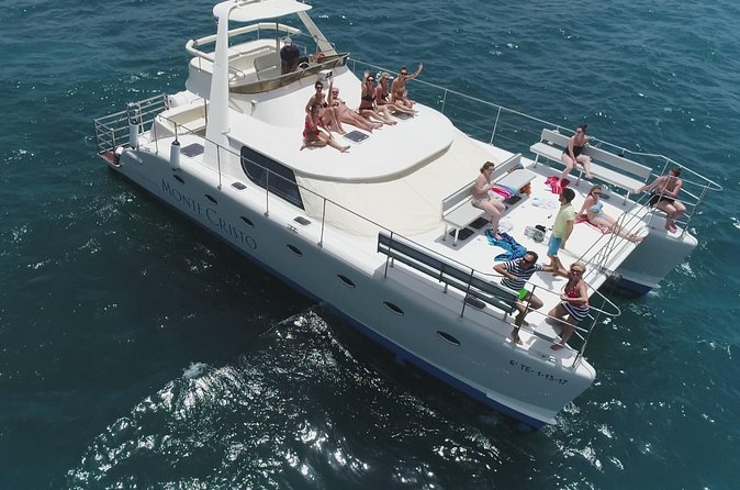 Whale and Dolphin Watching Catamaran with Transfer and Buffet - Is $71.35 a fair price?