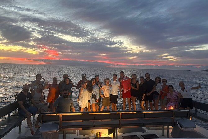 Whale and Dolphin Watching Catamaran with Transfer and Buffet - Who should book this catamaran