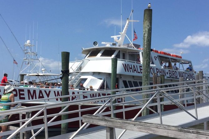 Whale and Dolphin Watching Cruise from Cape May - Food, drinks, restrooms, and onboard comfort