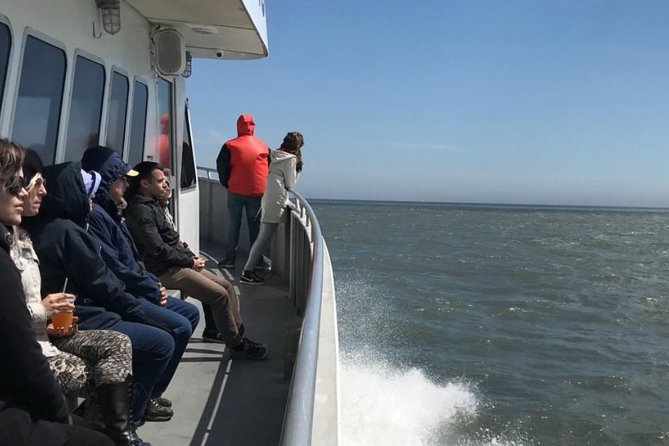 Whale and Dolphin Watching Cruise from Cape May - Is the $45 price good value?