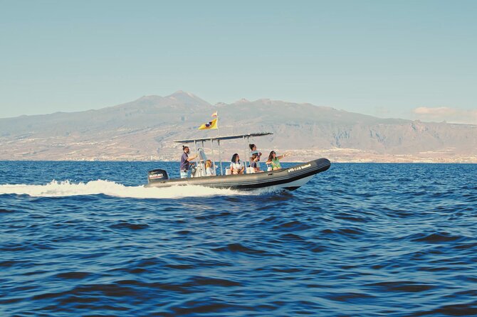 Whale and Dolphin Watching EcoAdventure in Tenerife - A guide-led trip rather than a party cruise