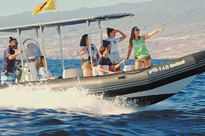 Whale and Dolphin Watching EcoAdventure in Tenerife - Food, transport, and what to bring
